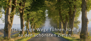 ziele, , grf consulting, gabi franzak